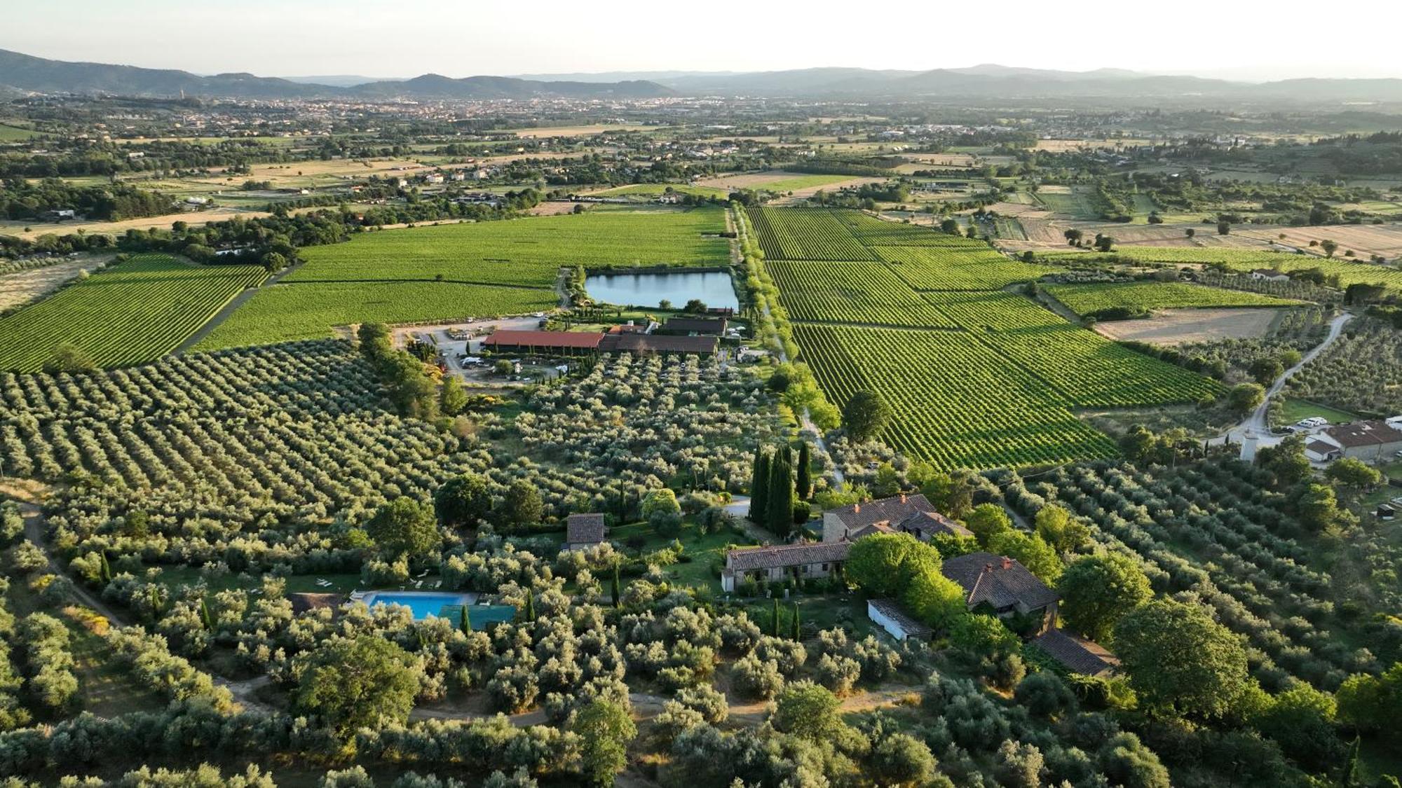 Il Palazzo - Agriturismo, Winery Arezzo Exterior foto